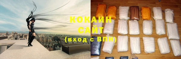 ПСИЛОЦИБИНОВЫЕ ГРИБЫ Белокуриха