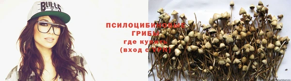 гашиш Богородск