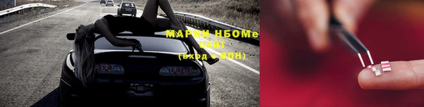 ПСИЛОЦИБИНОВЫЕ ГРИБЫ Белокуриха