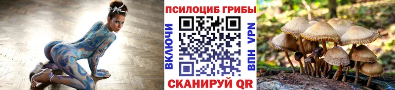где продают   Жирновск  Псилоцибиновые грибы мухоморы 